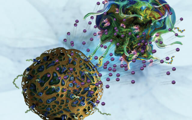 Gamma Delta (γδ) T cell Platform (Creative Biolabs Authorized)